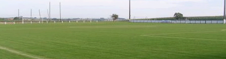 streaker